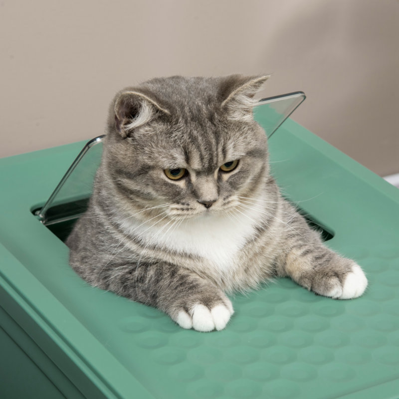 Latitude Run Fully Enclosed Cat Litter Box With Scoop Hooded Cat Litter House With Drawer Type Tray Foldable Smell Proof Cat Potty With Front Entry Top Exit Portable Pet Toilet With Large